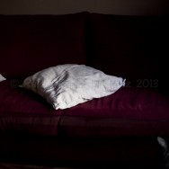 Gato gris, sofá rojo y cojines blancos
